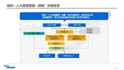 構建以網絡技術開發為驅動的人力資源管理體系，助力企業實現跨越式發展